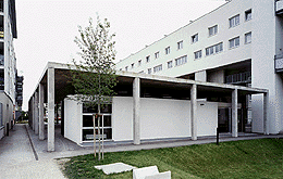 Ein Foto von Rupert Steiner