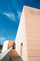 Ein Foto von Roman Hollenstein