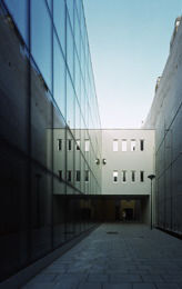 Ein Foto von Rupert Steiner