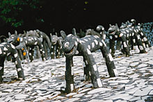 Ein Foto von Evan Lindquist