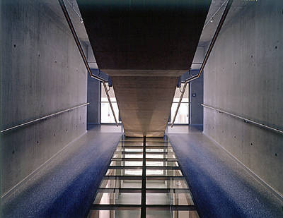 Ein Foto von Paul Ott