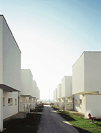 Ein Foto von Rupert Steiner