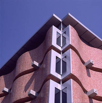 Ein Foto von Paul Ott