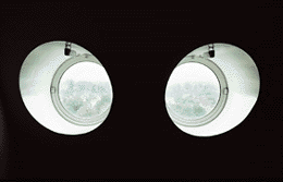 Ein Foto von Rupert Steiner