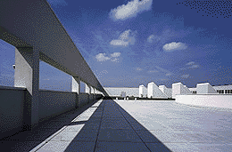 Ein Foto von Rupert Steiner