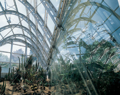 Ein Foto von Hans-Georg Tropper