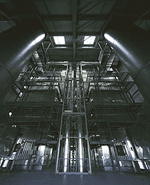 Ein Foto von Rupert Steiner