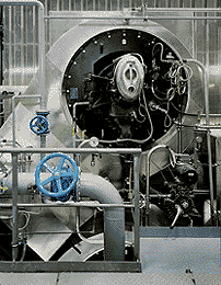 Ein Foto von Rupert Steiner