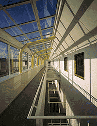 Ein Foto von Rupert Steiner