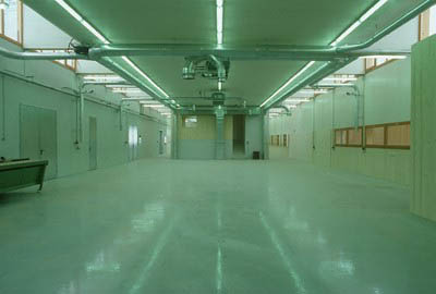 Ein Foto von Sina Baniahmad