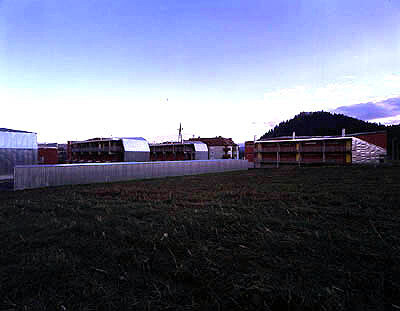 Ein Foto von Paul Ott