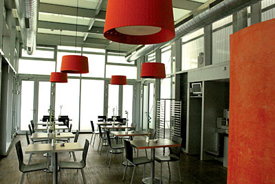 Ein Schaubild von Mark Steinmetz