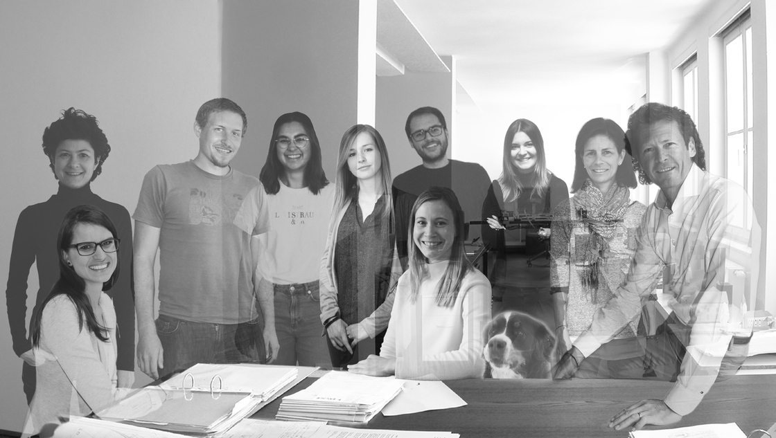 Ein Foto von strobl architekten