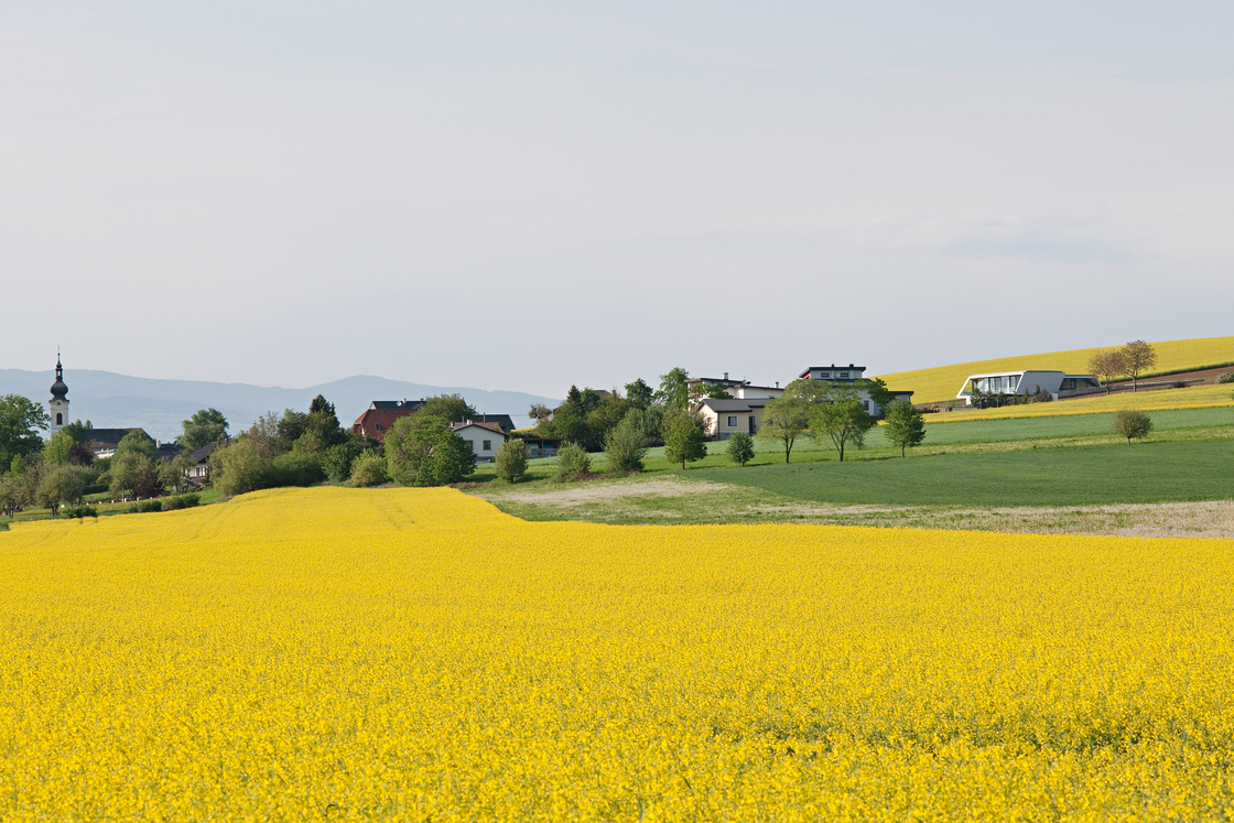 Ein Foto von Hertha Hurnaus