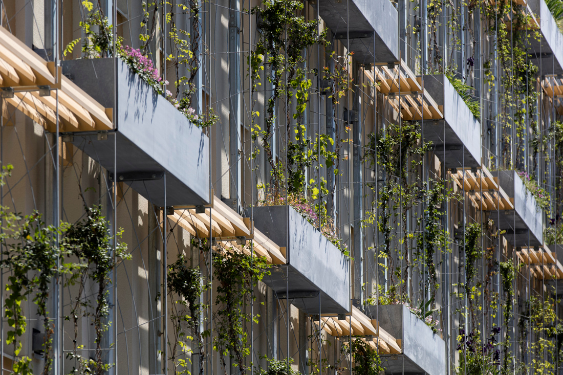 Ein Foto von Anna Stöcher