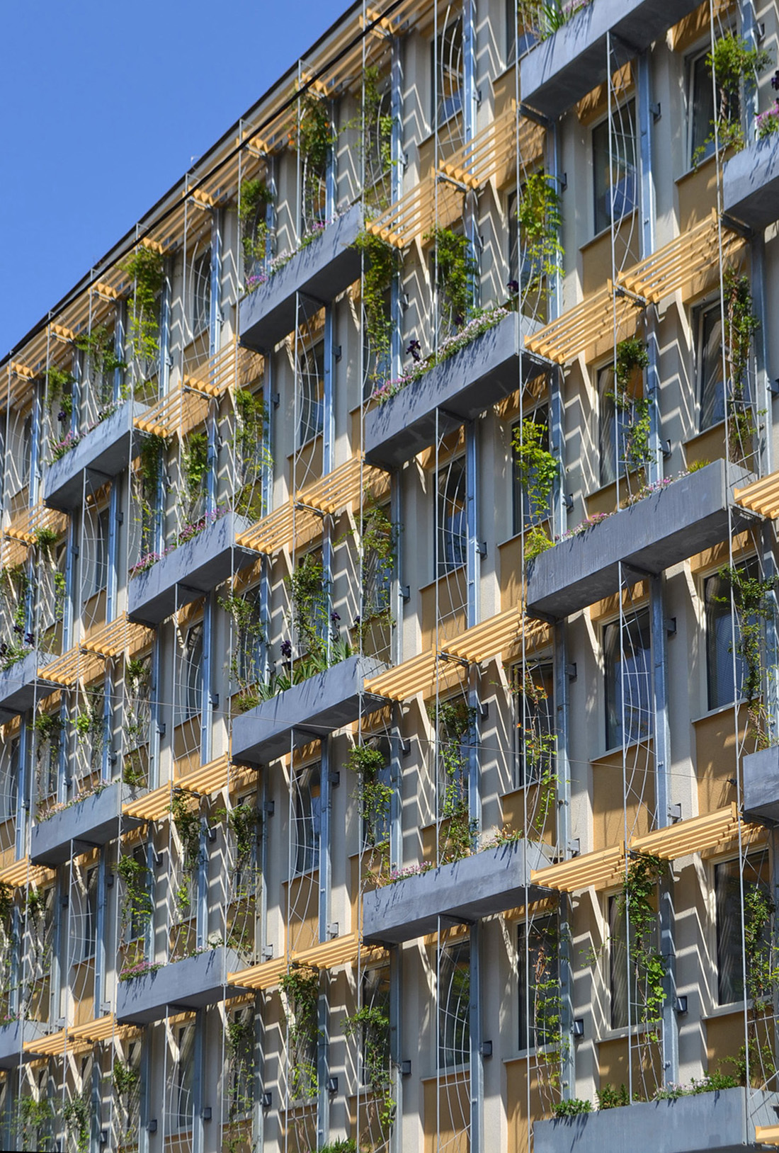 Ein Foto von Markus Tomaselli