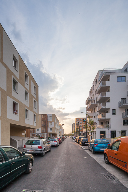 Ein Foto von Daniel Hawelka