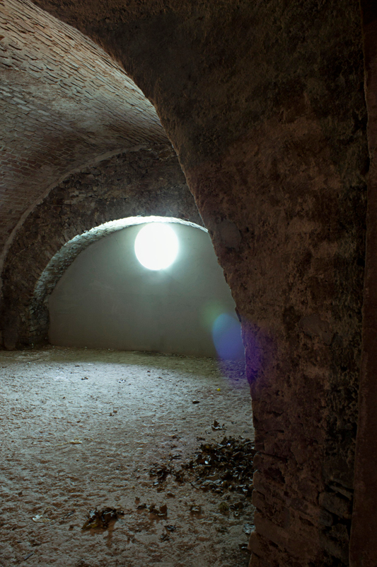 Ein Foto von Patricia Weisskirchner