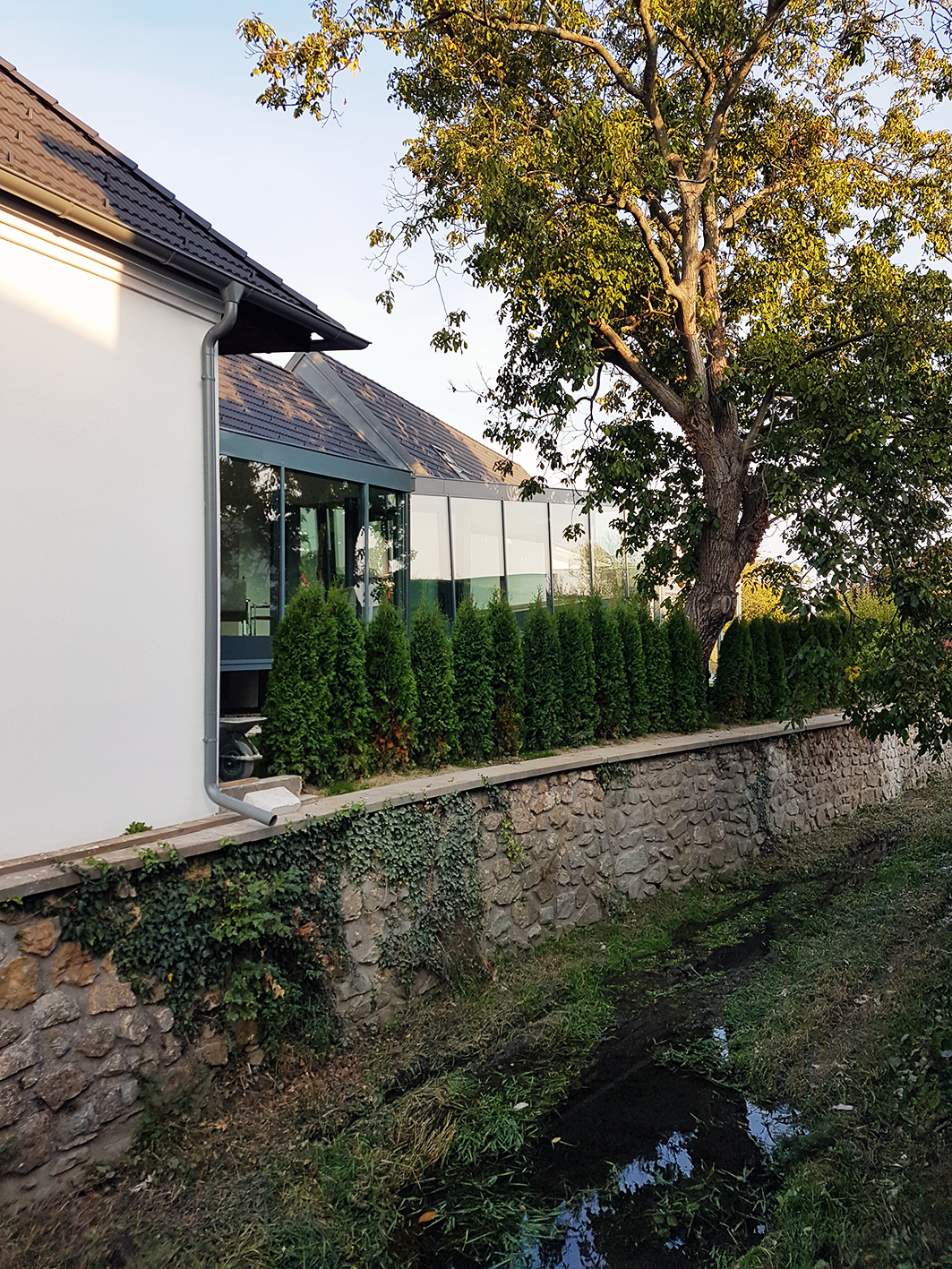 Ein Foto von Martin Mostböck