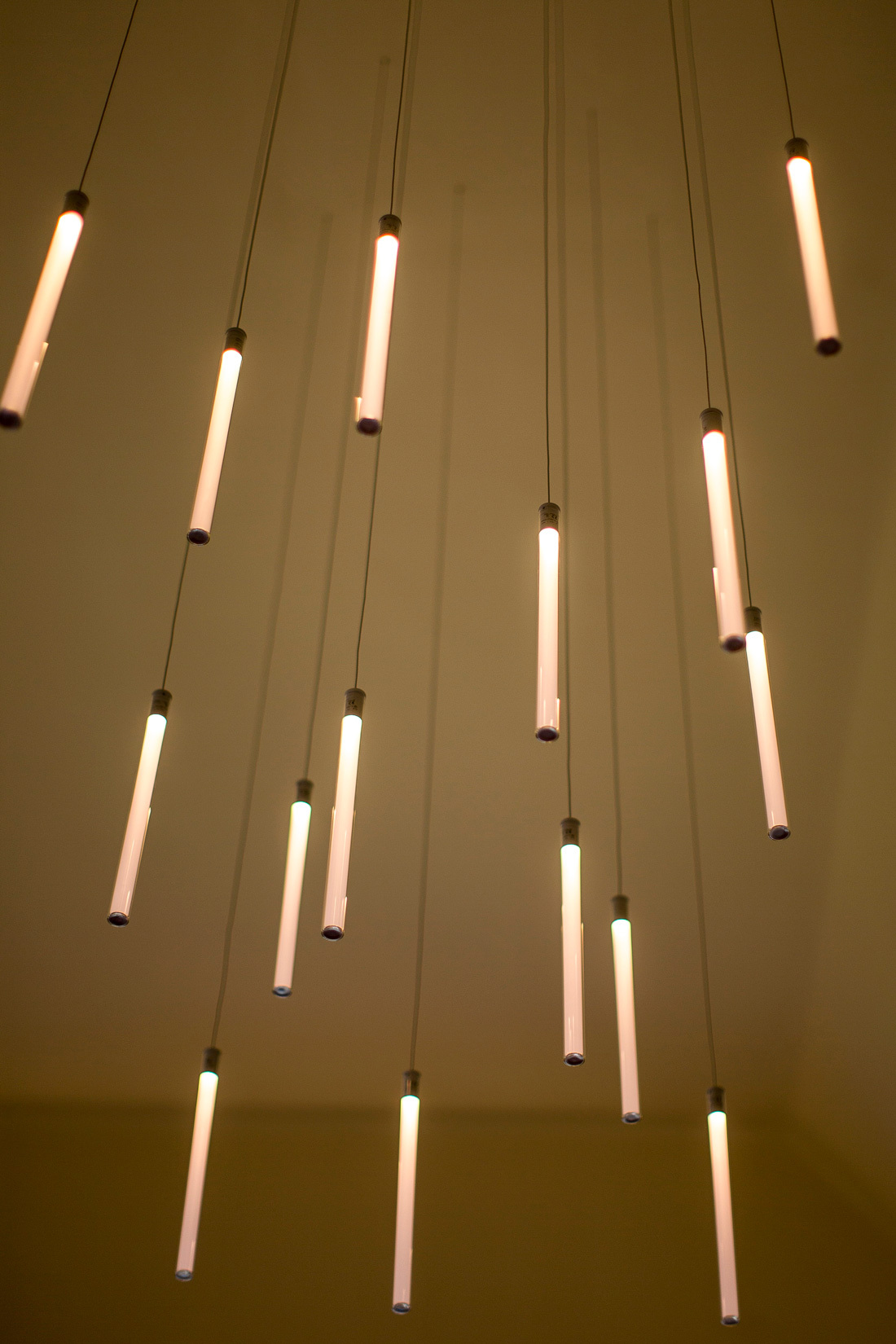 Ein Foto von Tom Lamm