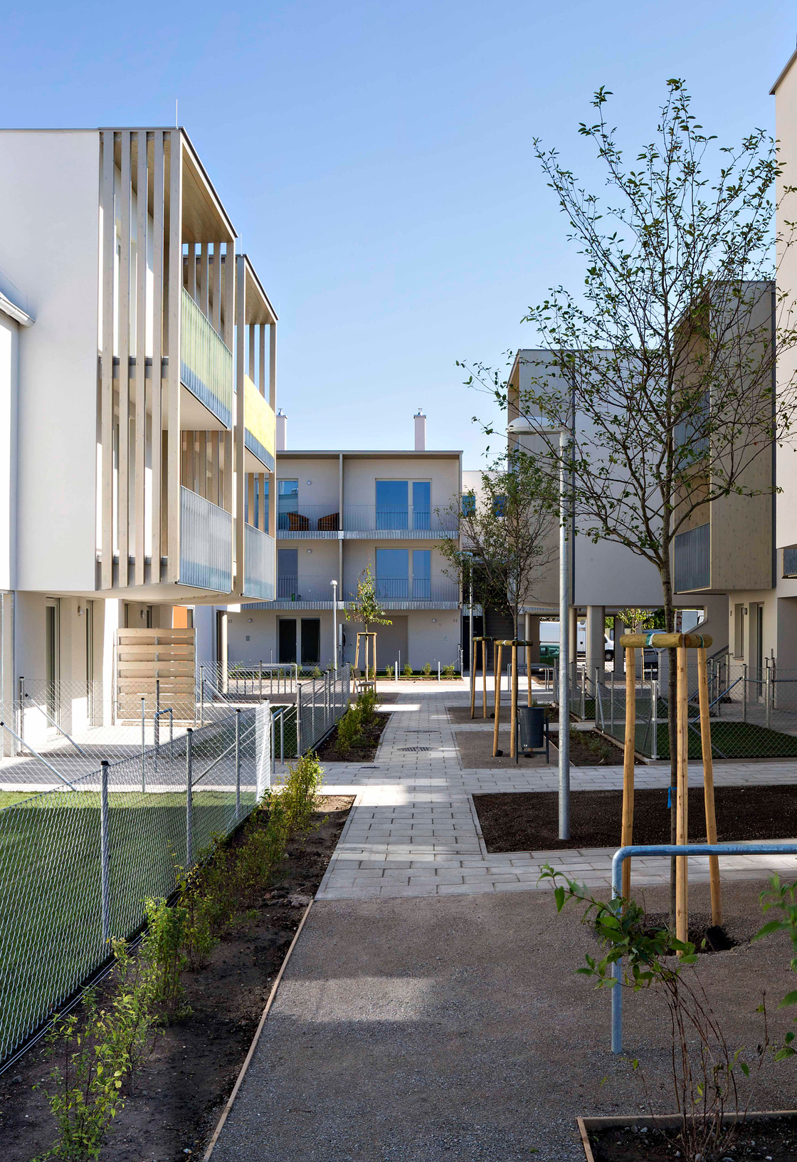 Ein Foto von Michael Goldgruber