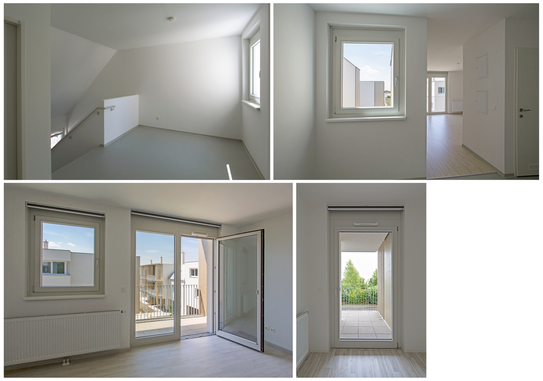 Ein Foto von Michael Goldgruber