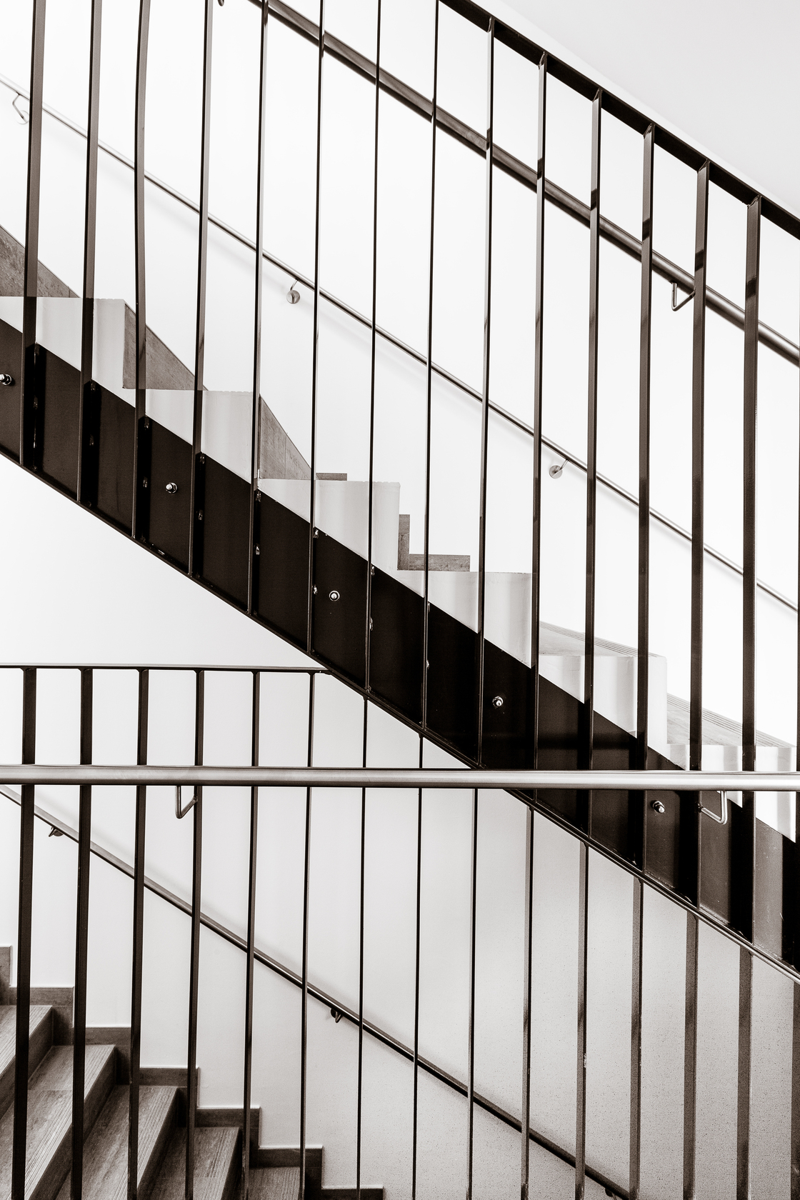 Ein Foto von Tamara Frisch