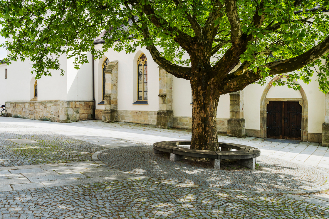 Ein Foto von Renate Schrattenecker-Fischer