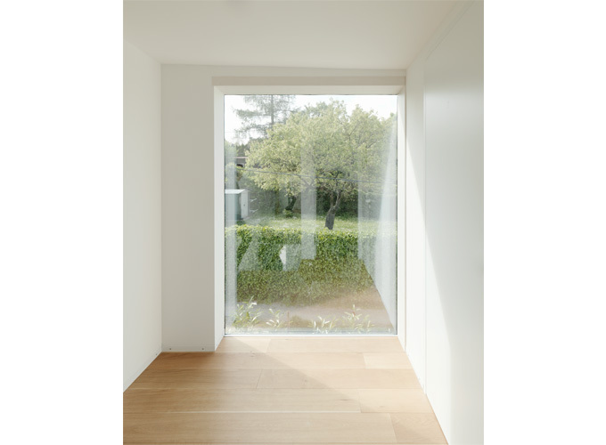 Ein Foto von Ditz Fejer