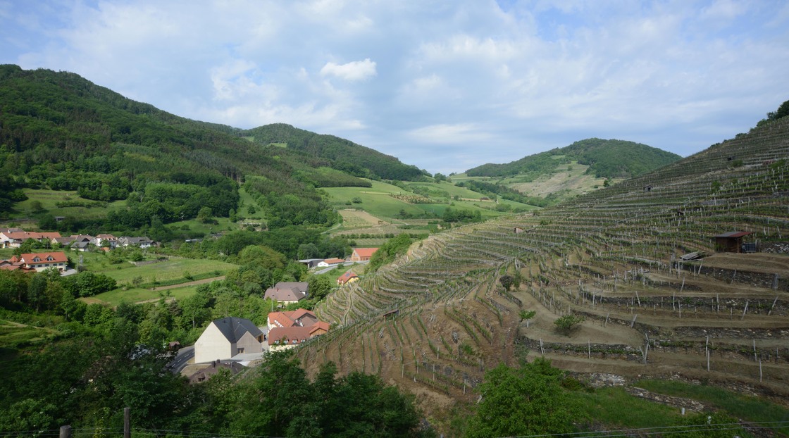 Ein Foto von Elmar Ludescher