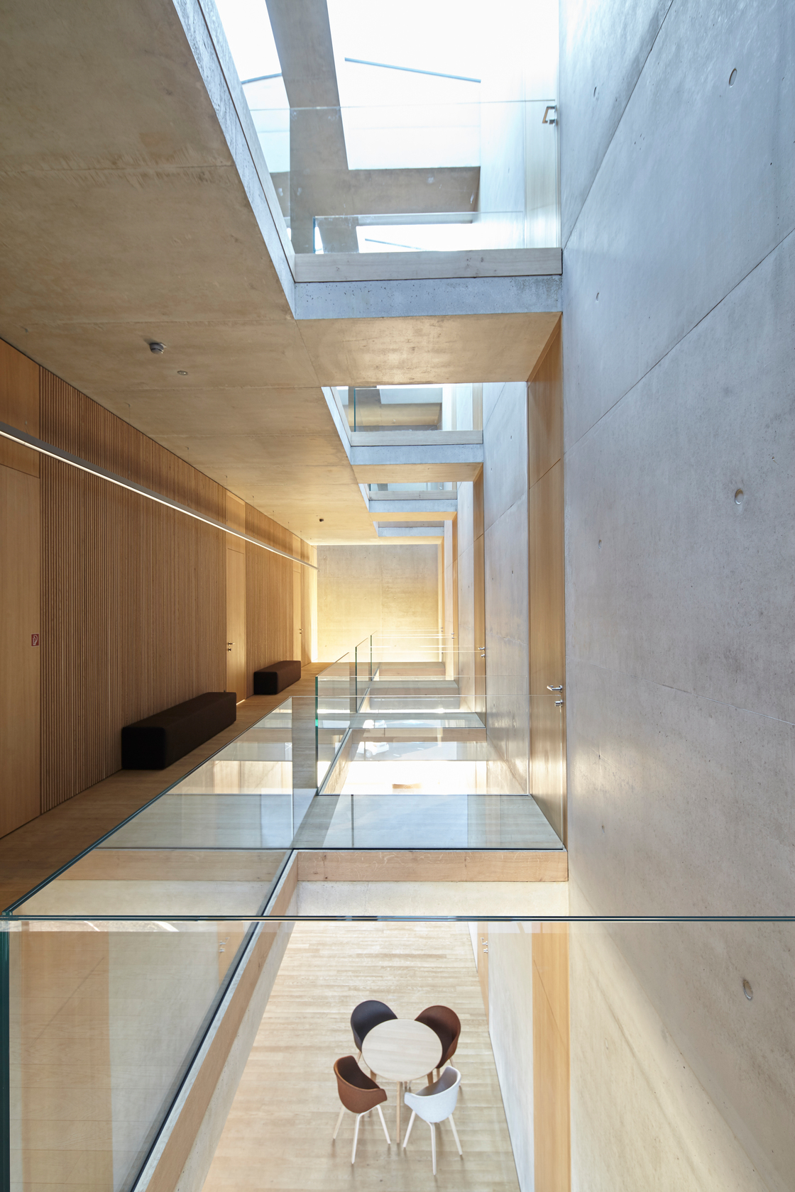 Ein Foto von Martin Mischkulnig