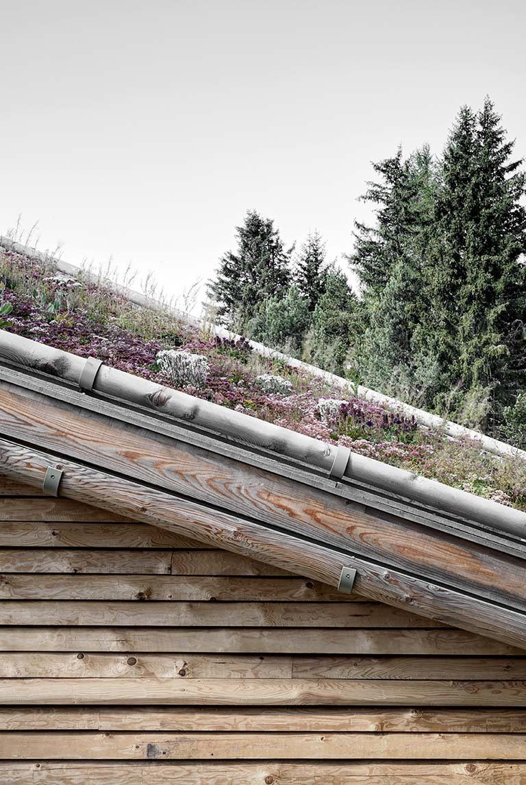 Ein Foto von Gustav Willeit