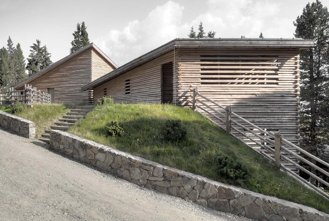 Ein Foto von Gustav Willeit