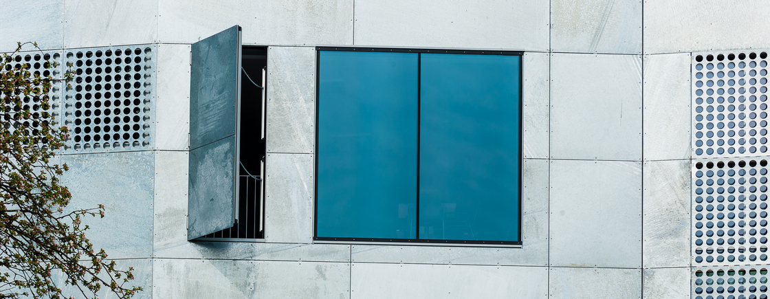 Ein Foto von Martina Weiss