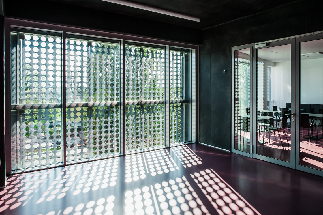 Ein Foto von Martina Weiss