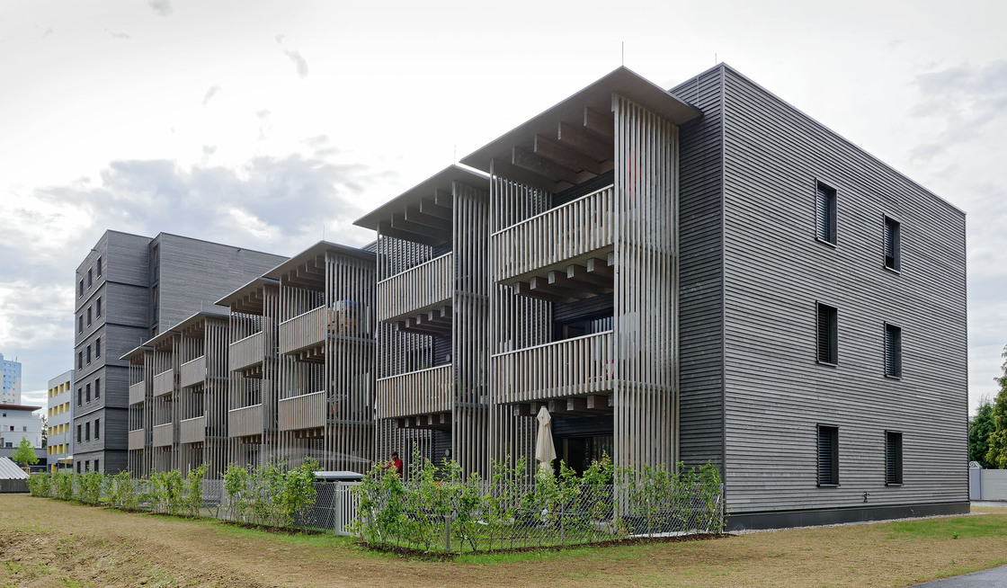 Ein Foto von Walter Ebenhofer