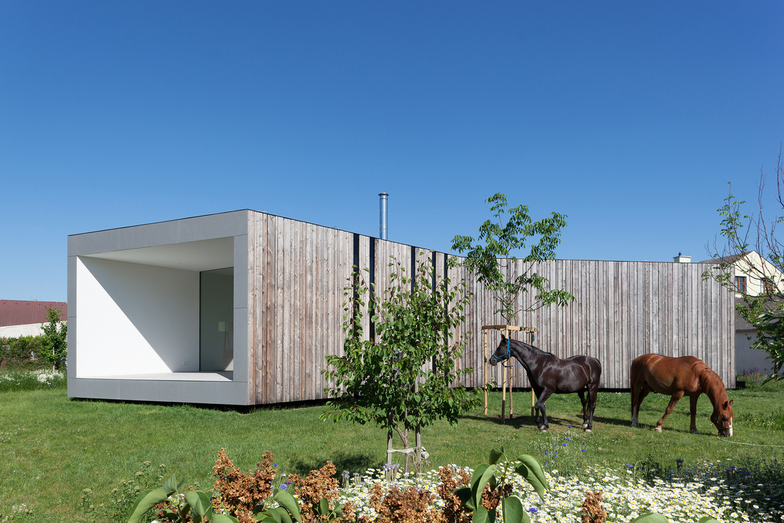 Ein Foto von Lisa Rastl