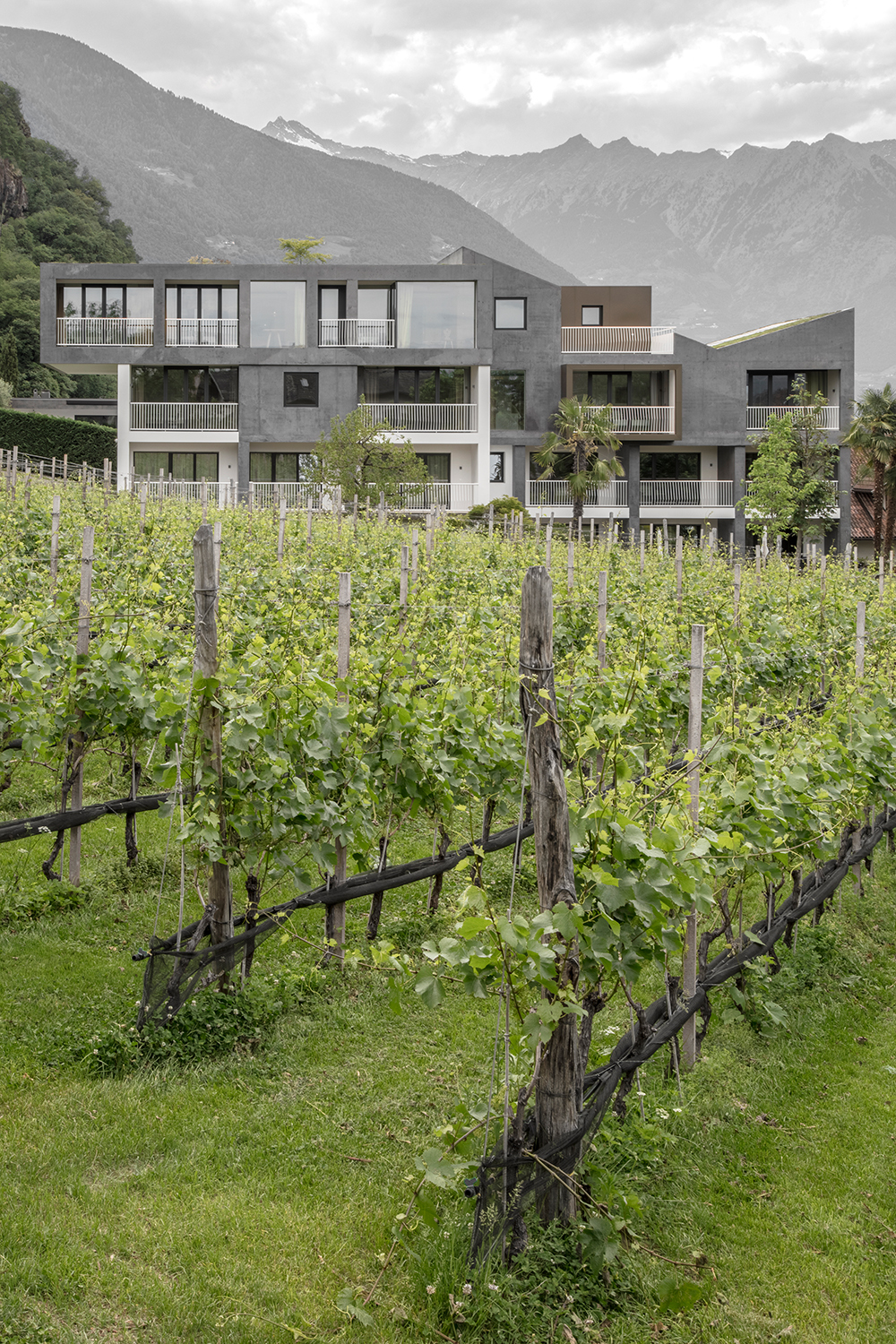 Ein Foto von Gustav Willeit