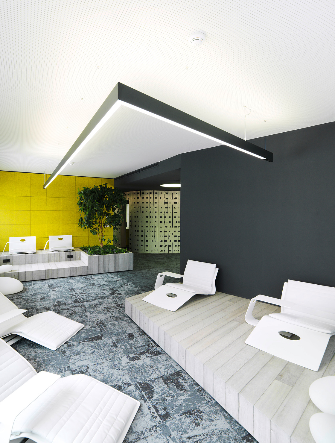 Ein Foto von Paul Ott