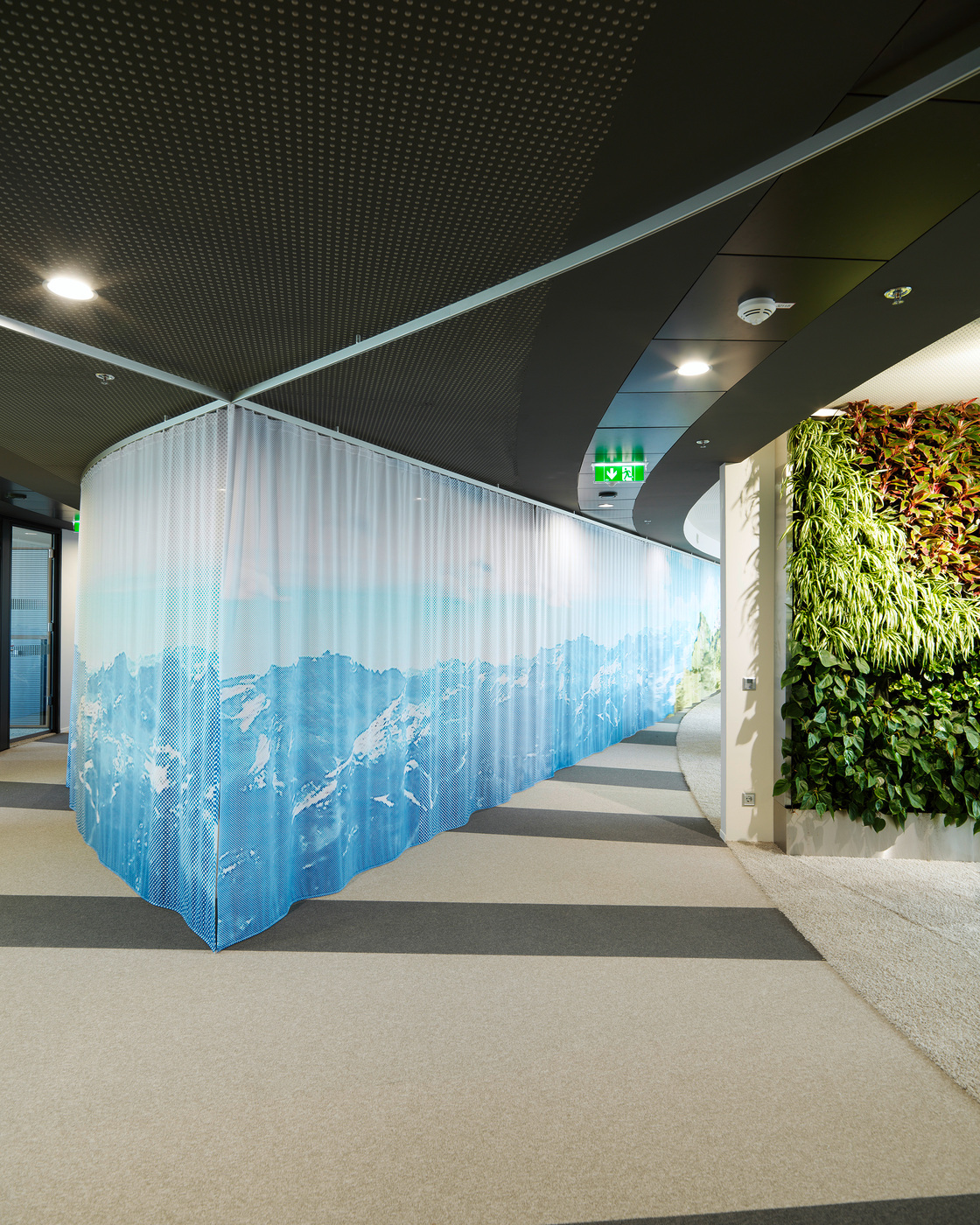 Ein Foto von Paul Ott