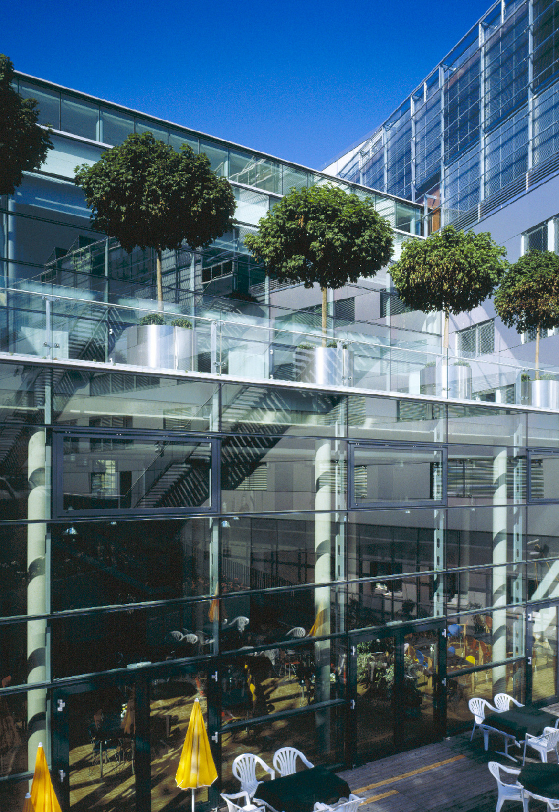 Ein Foto von Dietmar Tollerian