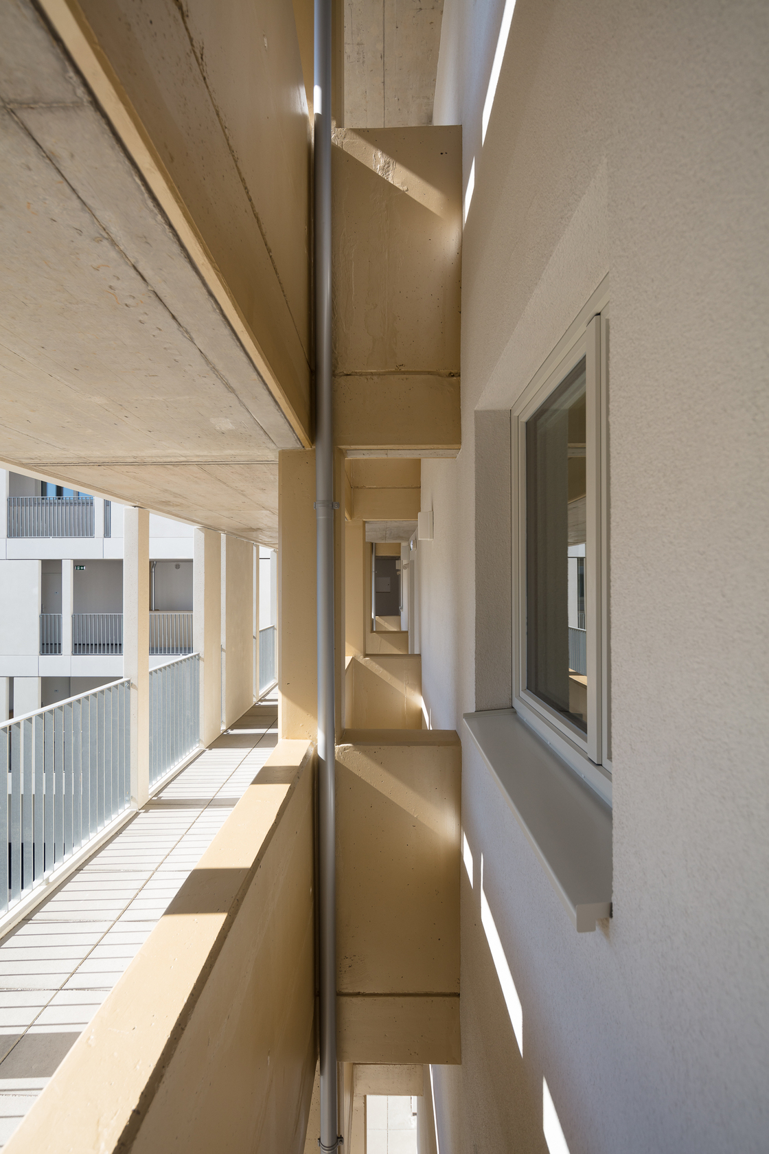 Ein Foto von Daniel Hawelka