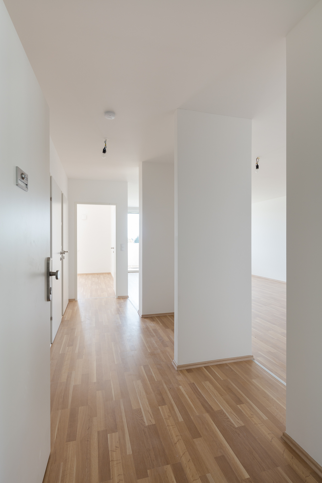 Ein Foto von Daniel Hawelka