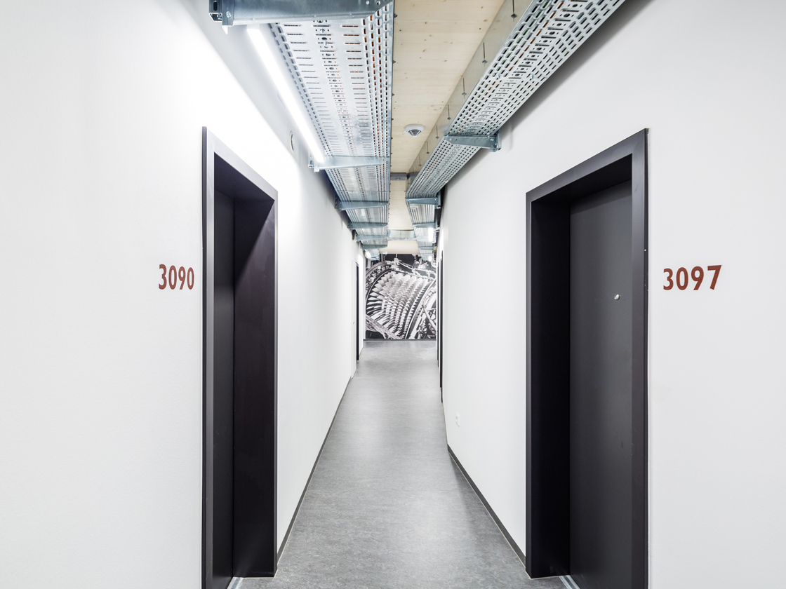 Ein Foto von Jorj Konstantinov