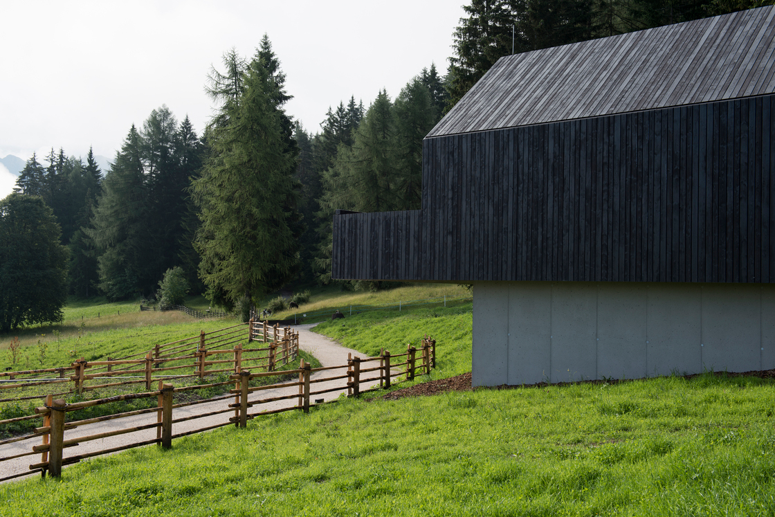 Ein Foto von Mads Mogensen