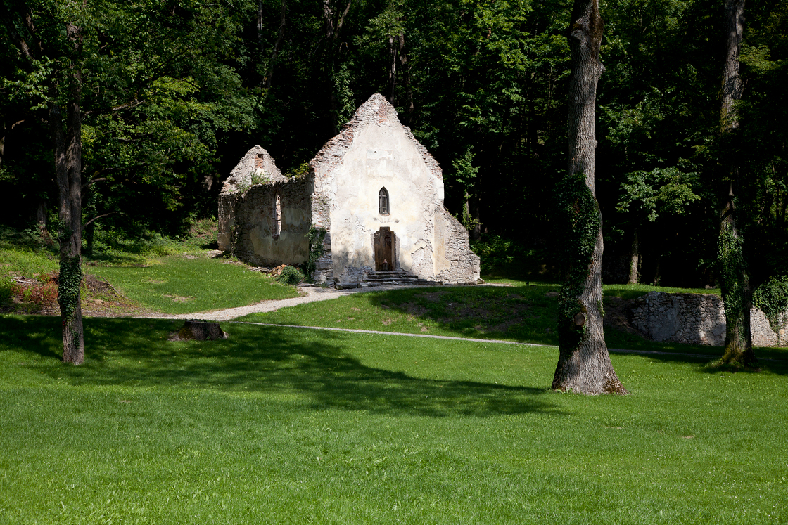 Ein Foto von Rupert Steiner