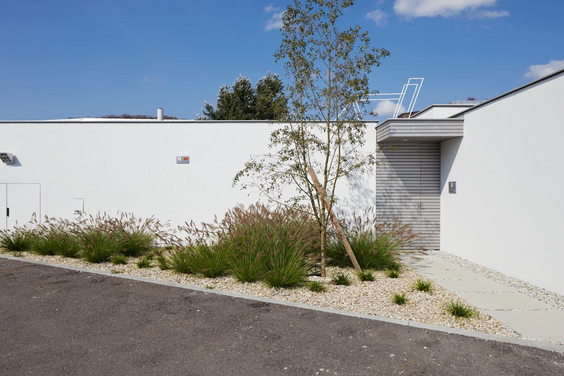 Ein Foto von Rainer Schoditsch