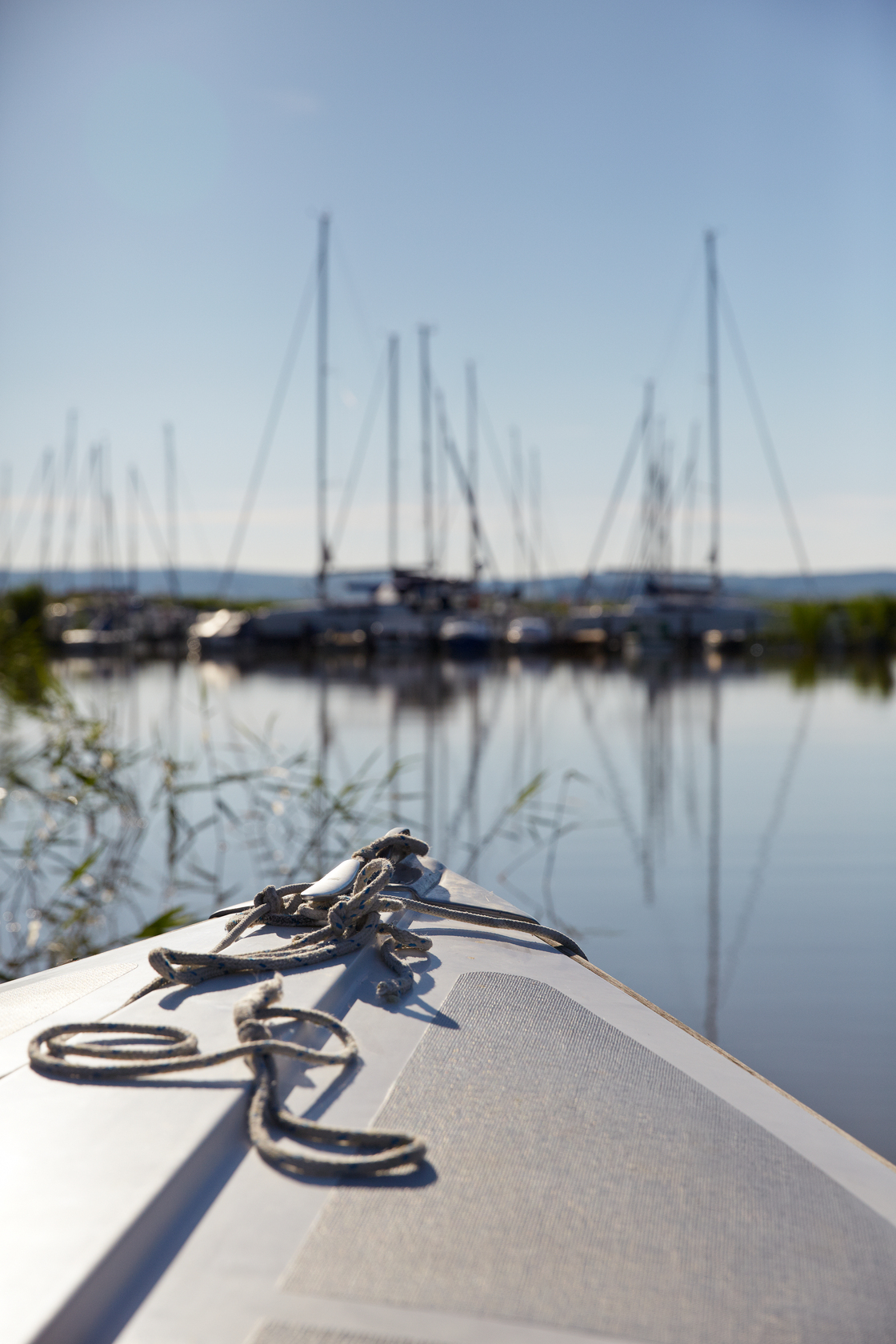 Ein Foto von Rainer Schoditsch