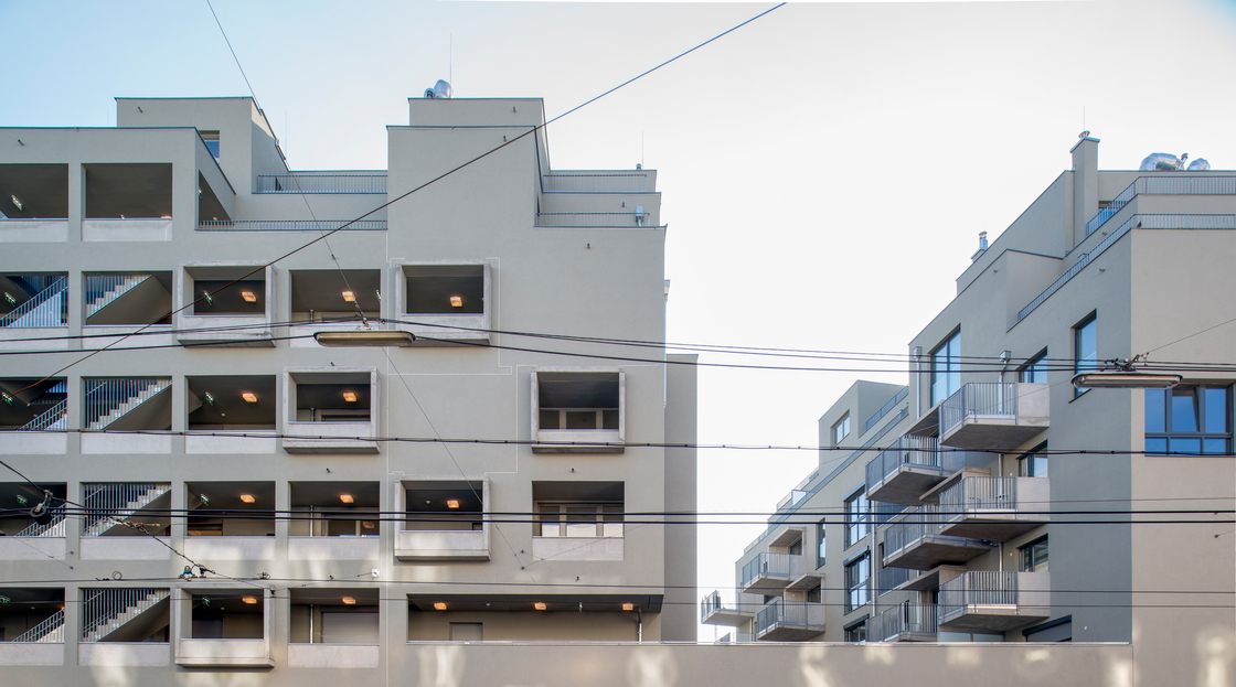 Ein Foto von Lukas Schaller