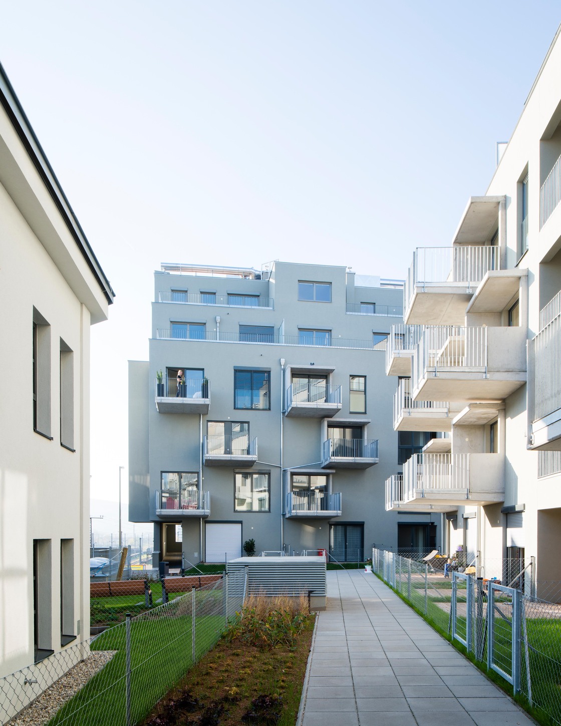 Ein Foto von Lukas Schaller